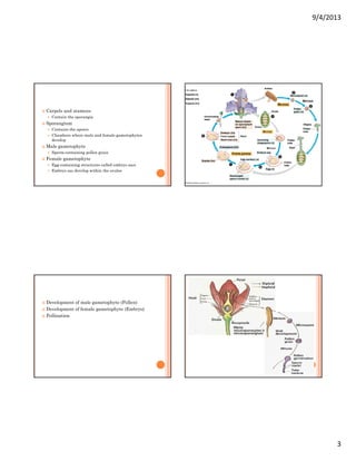 Reproductive structures | PDF