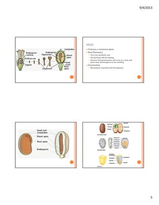 Reproductive structures | PDF