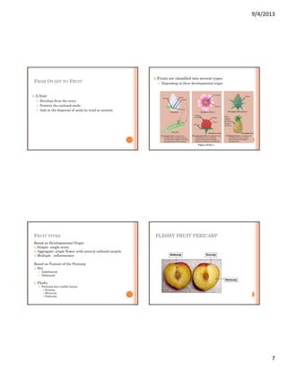 Reproductive structures | PDF