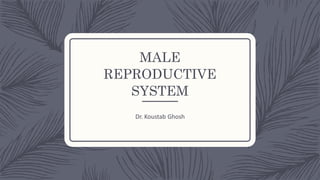 MALE
REPRODUCTIVE
SYSTEM
Dr. Koustab Ghosh
 