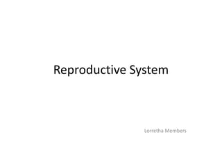 Reproductive System Lorretha Members 