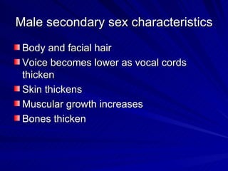 Male secondary sex characteristics Body and facial hair Voice becomes lower as vocal cords thicken Skin thickens Muscular growth increases Bones thicken 