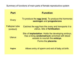 Summary of functions of main parts of female reproductive system


    Part                              Function

                 To produce the egg (ova). To produce the hormones
    Ovary
                           oestrogen and progesterone

Fallopian tube    Catches the egg from the ovary and transports it to
  (oviduct)                  uterus. Site of fertilisation.

                 Site of implantation. Holds the developing embryo.
                  Has a lining (endometrium) enriched with blood
   Uterus                  vessels to nourish the embryo.
                                 Forms the placenta.


    Vagina          Allows entry of sperm and exit of baby at birth.
 
