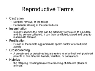 Reproductive Terms
• Castration
   – Surgical removal of the testes
   – Permanent closing of the sperm ducts
• Insemination
   – In many species the male can be artificially stimulated to ejaculate
     and the semen collected. It can then be diluted, stored and used to
     inseminate females
• Fertilisation
   – Fusion of the female egg and male sperm nuclei to form diploid
     zygote
• Crossbreeding
   – A crossbreed or crossbred usually refers to an animal with purebred
     parents of two different breeds, varieties, or populations
• Hybrids
   – the offspring resulting from cross-breeding of different plants or
     animals
 