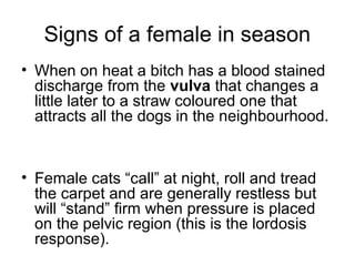 Signs of a female in season
• When on heat a bitch has a blood stained
  discharge from the vulva that changes a
  little later to a straw coloured one that
  attracts all the dogs in the neighbourhood.


• Female cats “call” at night, roll and tread
  the carpet and are generally restless but
  will “stand” firm when pressure is placed
  on the pelvic region (this is the lordosis
  response).
 