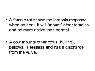 • A female rat shows the lordosis response
  when on heat. It will “mount” other females
  and be more active than normal.

• A cow mounts other cows (bulling),
  bellows, is restless and has a discharge
  from the vulva.
 