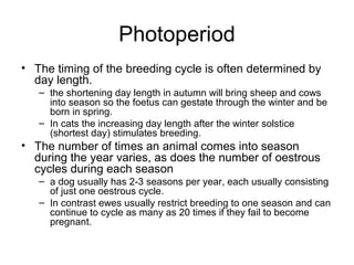 Photoperiod
• The timing of the breeding cycle is often determined by
  day length.
   – the shortening day length in autumn will bring sheep and cows
     into season so the foetus can gestate through the winter and be
     born in spring.
   – In cats the increasing day length after the winter solstice
     (shortest day) stimulates breeding.
• The number of times an animal comes into season
  during the year varies, as does the number of oestrous
  cycles during each season
   – a dog usually has 2-3 seasons per year, each usually consisting
     of just one oestrous cycle.
   – In contrast ewes usually restrict breeding to one season and can
     continue to cycle as many as 20 times if they fail to become
     pregnant.
 