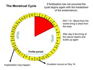 If fertilisation has not occurred the
 The Menstrual Cycle                            cycle begins again with the breakdown
                                                            of the endometrium.
                                28    1    2
                          27
                     26                          3
                                                      4                DAY 1-5 : Blood from the
                25
                                                          5            womb lining is shed from
           24                                                          the body
       23                                                      6
      22                                                           7   After day 5 the lining of
                                                                       the uterus repairs and
      21
                                                               8       builds up again
       20
                                                               9
        19
             18                                           10
                               Fertile period
                     17                              11
                          16                    12
                                15   14 13

Implantation may happen                           Ovulation occurs on Day 14
 