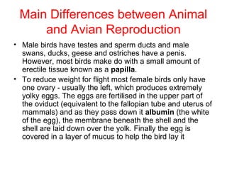 Main Differences between Animal
     and Avian Reproduction
• Male birds have testes and sperm ducts and male
  swans, ducks, geese and ostriches have a penis.
  However, most birds make do with a small amount of
  erectile tissue known as a papilla.
• To reduce weight for flight most female birds only have
  one ovary - usually the left, which produces extremely
  yolky eggs. The eggs are fertilised in the upper part of
  the oviduct (equivalent to the fallopian tube and uterus of
  mammals) and as they pass down it albumin (the white
  of the egg), the membrane beneath the shell and the
  shell are laid down over the yolk. Finally the egg is
  covered in a layer of mucus to help the bird lay it
 