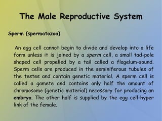The Male Reproductive System
Sperm (spermatozoa)
An egg cell cannot begin to divide and develop into a life
form unless it is joined by a sperm cell, a small tad-pole
shaped cell propelled by a tail called a flagelum-sound.
Sperm cells are produced in the seminiferous tubules of
the testes and contain genetic material. A sperm cell is
called a gamete and contains only half the amount of
chromosome (genetic material) necessary for producing an
embryo. The other half is supplied by the egg cell-hyper
link of the female.
 