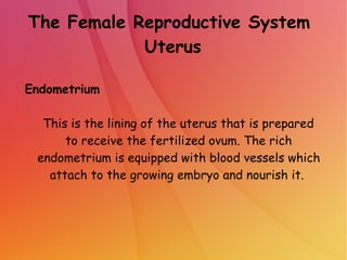 The Female Reproductive System
Uterus
Endometrium
This is the lining of the uterus that is prepared
to receive the fertilized ovum. The rich
endometrium is equipped with blood vessels which
attach to the growing embryo and nourish it.
 