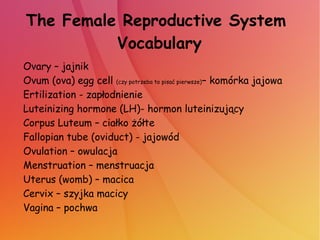 The Female Reproductive System
Vocabulary
Ovary – jajnik
Ovum (ova) egg cell (czy potrzeba to pisać pierwsze)– komórka jajowa
Ertilization - zapłodnienie
Luteinizing hormone (LH)- hormon luteinizujący
Corpus Luteum – ciałko żółte
Fallopian tube (oviduct) - jajowód
Ovulation – owulacja
Menstruation – menstruacja
Uterus (womb) – macica
Cervix – szyjka macicy
Vagina – pochwa
 
