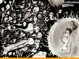 Fertlization
 