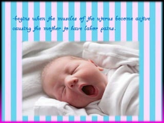 -begins when the muscles of the uterus become active
causing the mother to have labor pains.

 