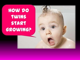 How do
twins
start
growing?

 