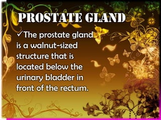 PROSTATE GLAND
The prostate gland
is a walnut-sized
structure that is
located below the
urinary bladder in
front of the rectum.

 