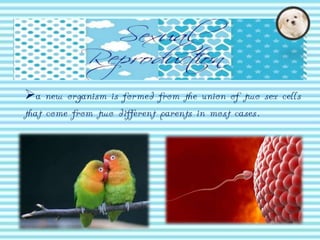 a new organism is formed from the union of two sex cells
that come from two different parents in most cases.

 