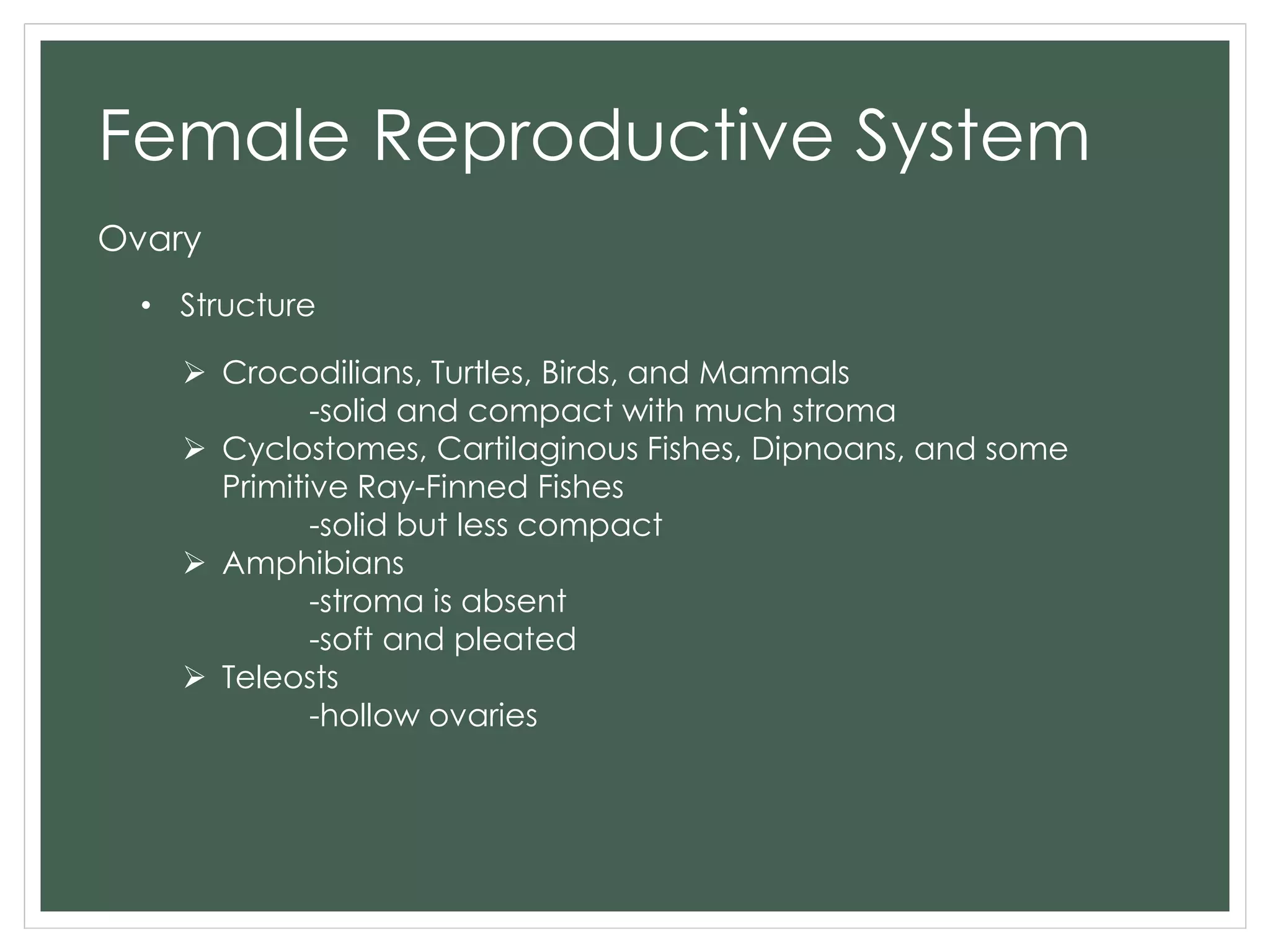 Female Reproductive System
Ovary
• Structure
 Crocodilians, Turtles, Birds, and Mammals
-solid and compact with much stroma
 Cyclostomes, Cartilaginous Fishes, Dipnoans, and some
Primitive Ray-Finned Fishes
-solid but less compact
 Amphibians
-stroma is absent
-soft and pleated
 Teleosts
-hollow ovaries
 