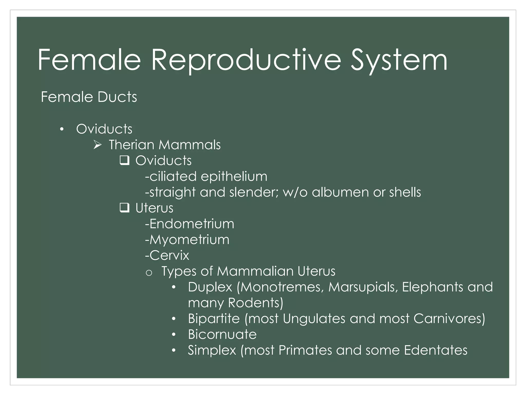 Female Reproductive System
Female Ducts
• Oviducts
 Therian Mammals
 Oviducts
-ciliated epithelium
-straight and slender; w/o albumen or shells
 Uterus
-Endometrium
-Myometrium
-Cervix
o Types of Mammalian Uterus
• Duplex (Monotremes, Marsupials, Elephants and
many Rodents)
• Bipartite (most Ungulates and most Carnivores)
• Bicornuate
• Simplex (most Primates and some Edentates
 