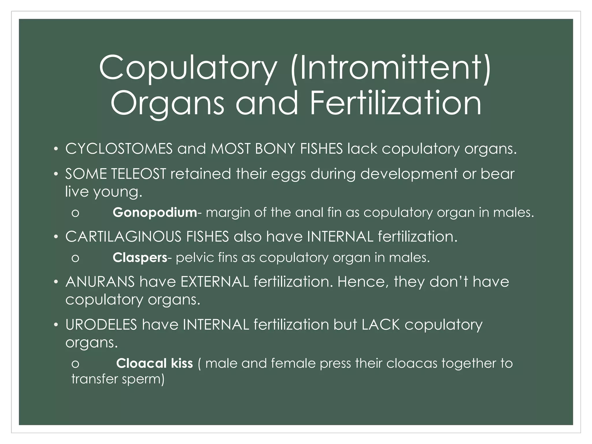 Copulatory (Intromittent)
Organs and Fertilization
• CYCLOSTOMES and MOST BONY FISHES lack copulatory organs.
• SOME TELEOST retained their eggs during development or bear
live young.
o Gonopodium- margin of the anal fin as copulatory organ in males.
• CARTILAGINOUS FISHES also have INTERNAL fertilization.
o Claspers- pelvic fins as copulatory organ in males.
• ANURANS have EXTERNAL fertilization. Hence, they don’t have
copulatory organs.
• URODELES have INTERNAL fertilization but LACK copulatory
organs.
o Cloacal kiss ( male and female press their cloacas together to
transfer sperm)
 