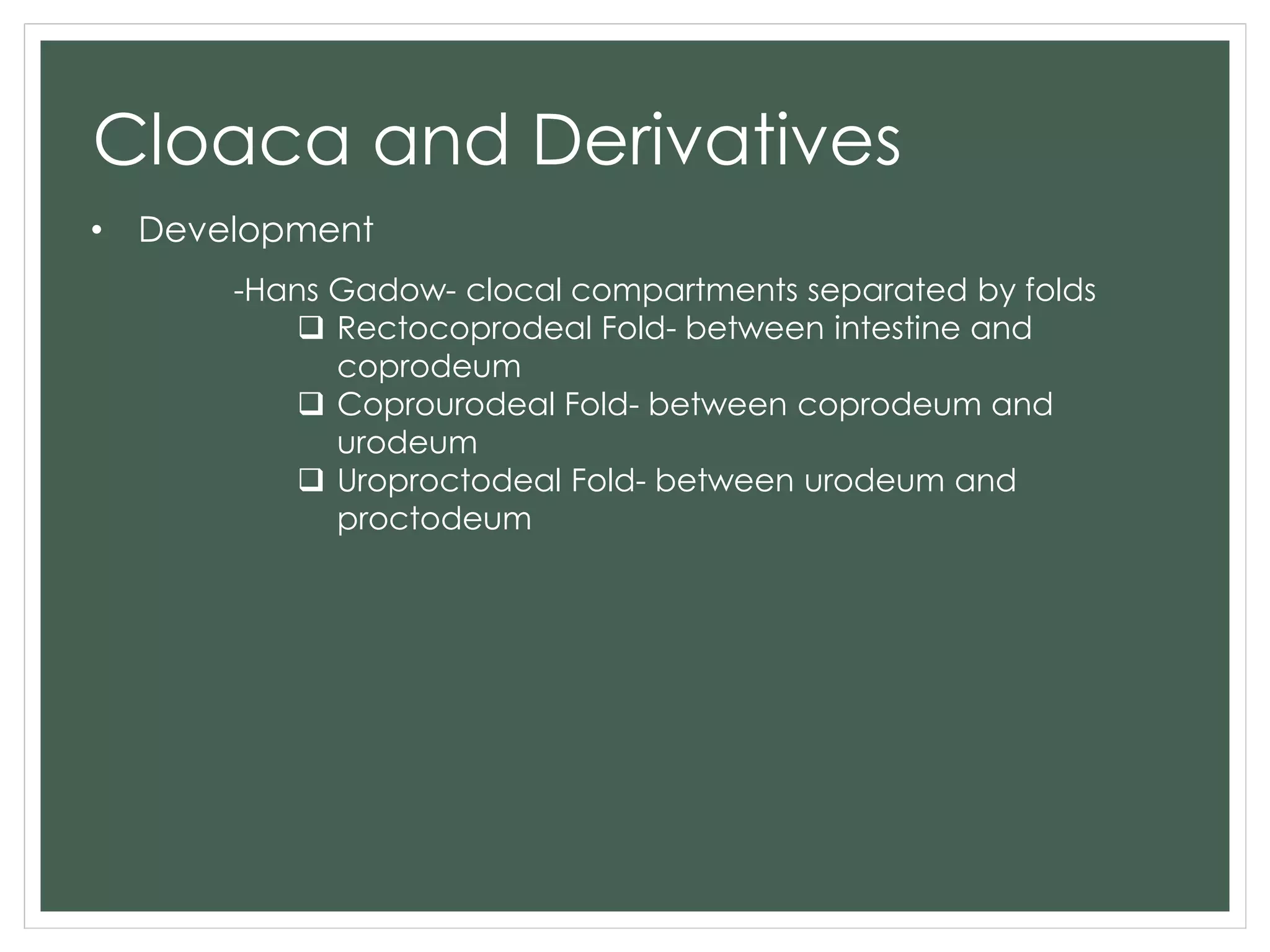 Cloaca and Derivatives
• Development
-Hans Gadow- clocal compartments separated by folds
 Rectocoprodeal Fold- between intestine and
coprodeum
 Coprourodeal Fold- between coprodeum and
urodeum
 Uroproctodeal Fold- between urodeum and
proctodeum
 