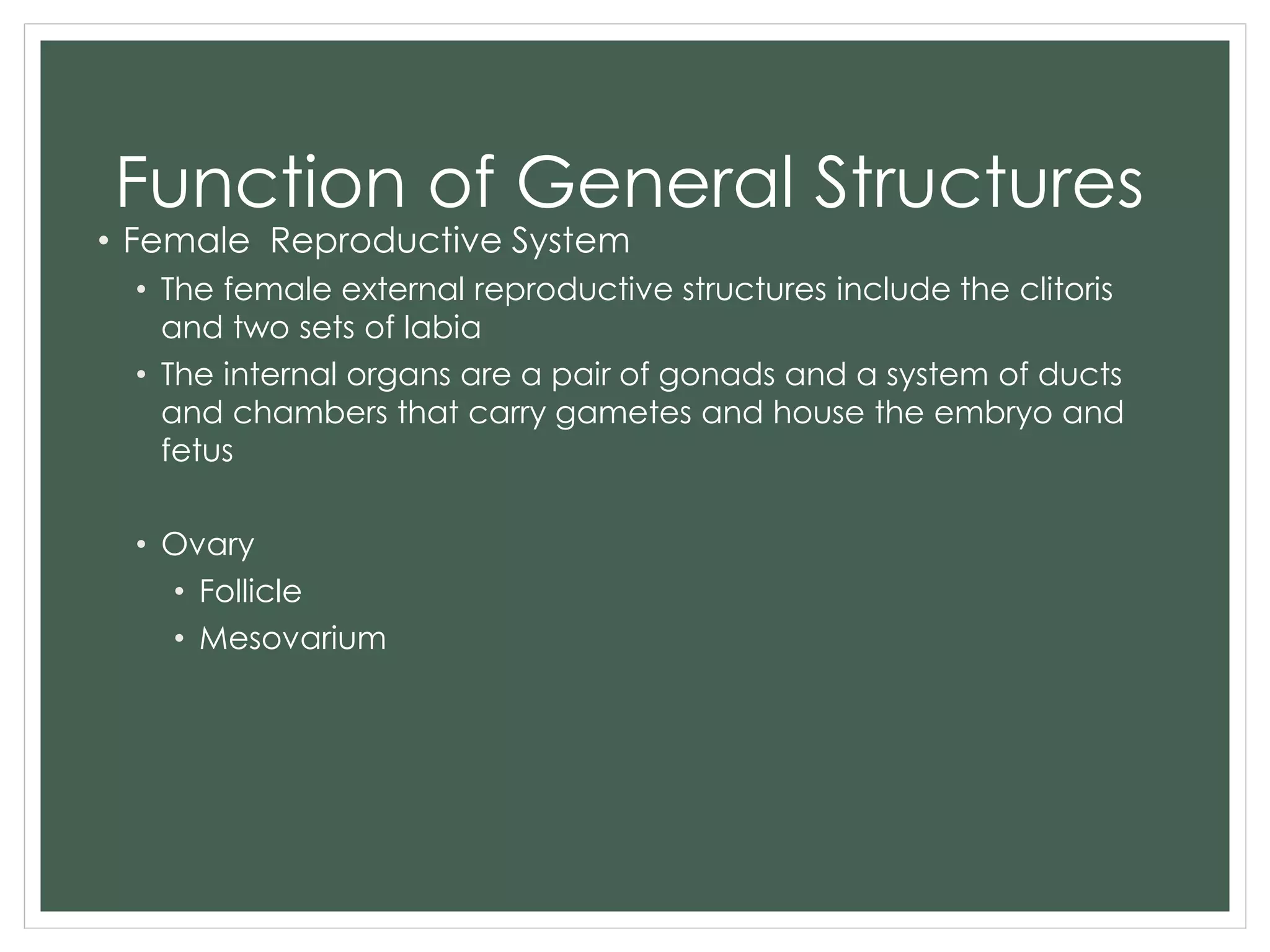 Function of General Structures
• Female Reproductive System
• The female external reproductive structures include the clitoris
and two sets of labia
• The internal organs are a pair of gonads and a system of ducts
and chambers that carry gametes and house the embryo and
fetus
• Ovary
• Follicle
• Mesovarium
 
