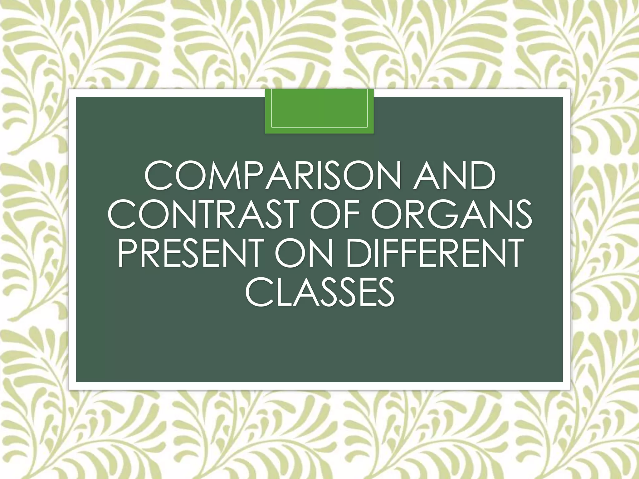 COMPARISON AND
CONTRAST OF ORGANS
PRESENT ON DIFFERENT
CLASSES
 