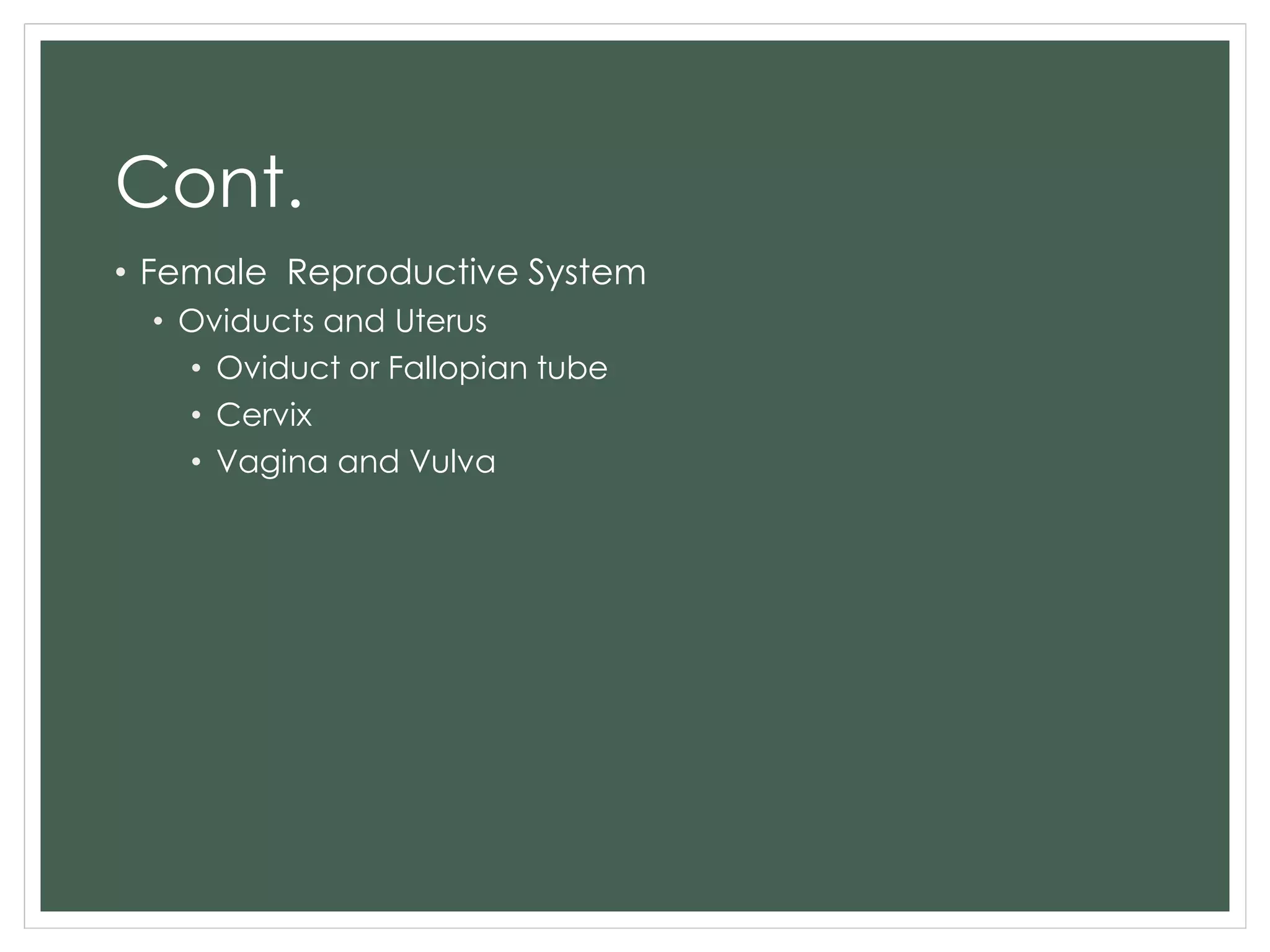 Cont.
• Female Reproductive System
• Oviducts and Uterus
• Oviduct or Fallopian tube
• Cervix
• Vagina and Vulva
 