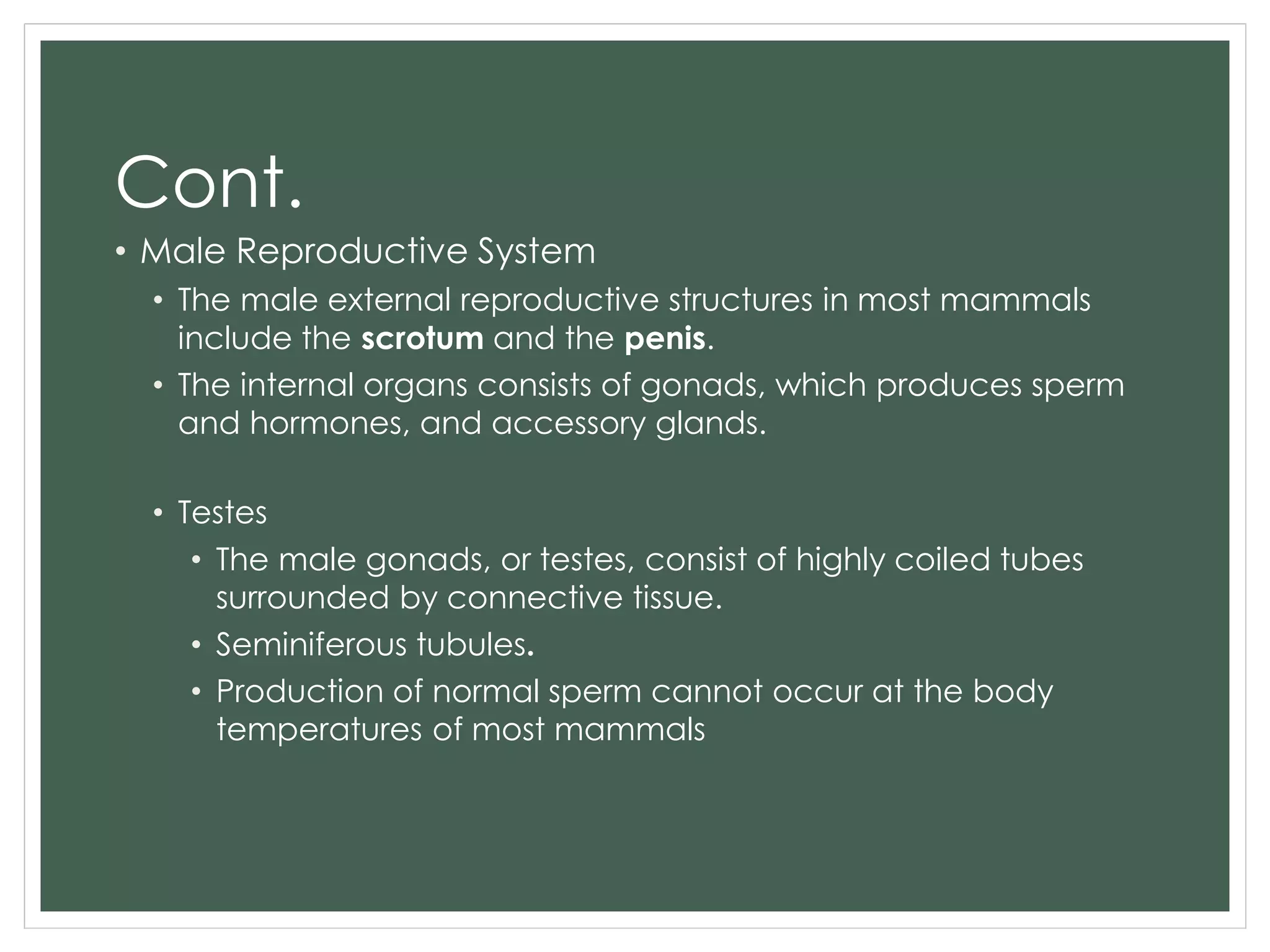 Cont.
• Male Reproductive System
• The male external reproductive structures in most mammals
include the scrotum and the penis.
• The internal organs consists of gonads, which produces sperm
and hormones, and accessory glands.
• Testes
• The male gonads, or testes, consist of highly coiled tubes
surrounded by connective tissue.
• Seminiferous tubules.
• Production of normal sperm cannot occur at the body
temperatures of most mammals
 