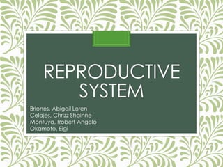 REPRODUCTIVE
SYSTEM
Briones, Abigail Loren
Celajes, Chrizz Shainne
Montuya, Robert Angelo
Okamoto, Eigi
 