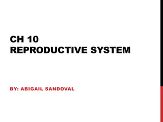 CH 10
REPRODUCTIVE SYSTEM
BY: ABIGAIL SANDOVAL
 