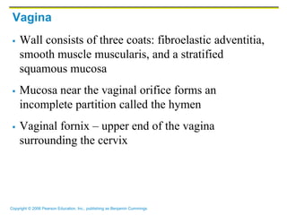 Reproductive System PDF