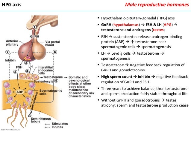 Immotile sperm effect on cells