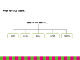 What have we learnt?
sight touch taste
There are five senses…
smell hearing