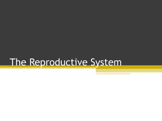 The Reproductive System
 