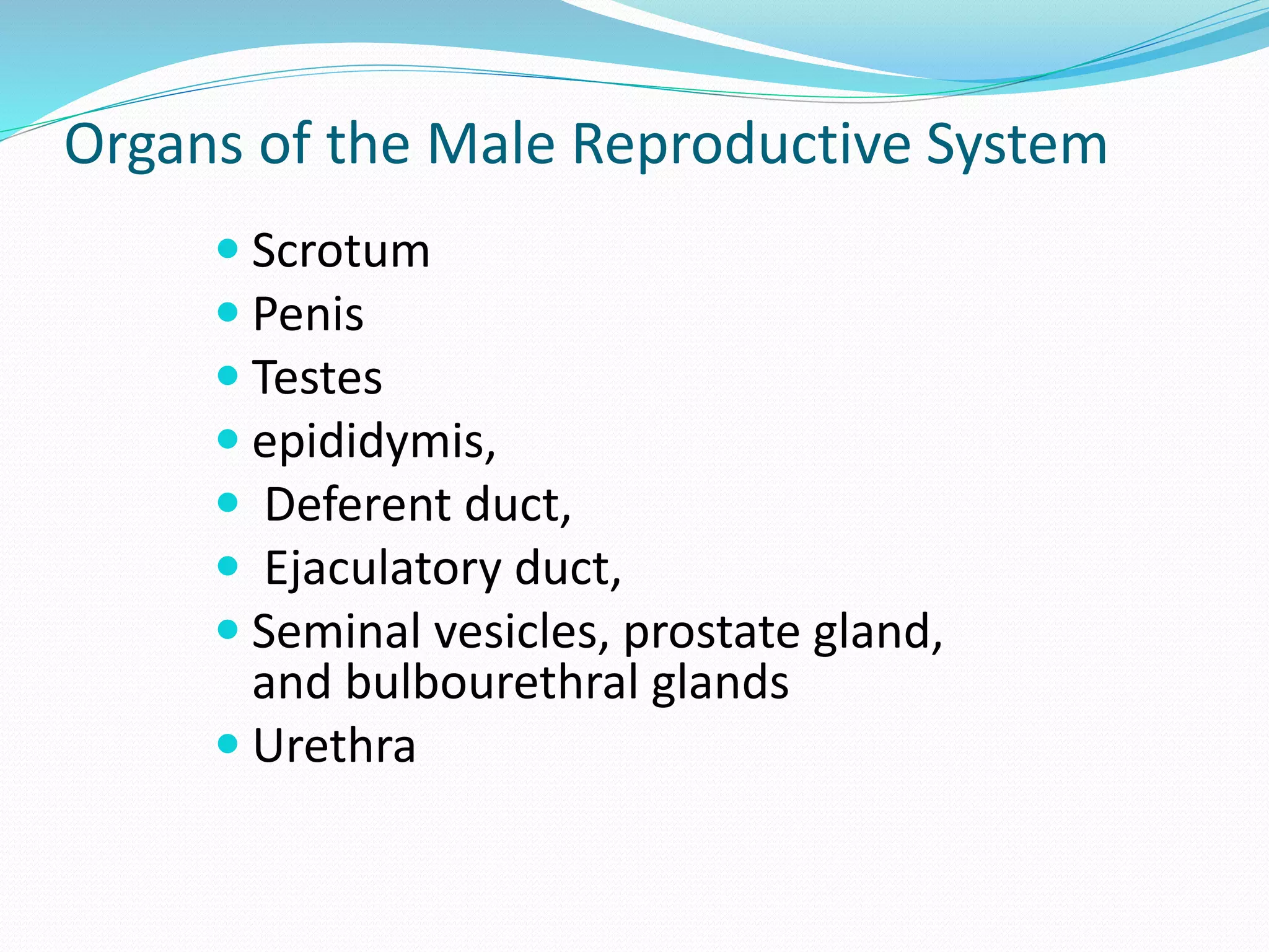 Human Reproductive system: Anatomy and physiology | PPTX