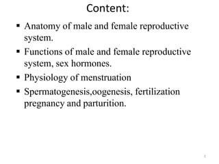 Comprehensive Overview of the Human Reproductive System: Anatomy ...