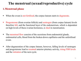 Comprehensive Overview of the Human Reproductive System: Anatomy ...