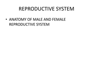 REPRODUCTIVE SYSTEM
• ANATOMY OF MALE AND FEMALE
REPRODUCTIVE SYSTEM
 