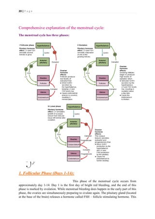 Menstrual Cycle Notes.pdf Reproductive system | PDF
