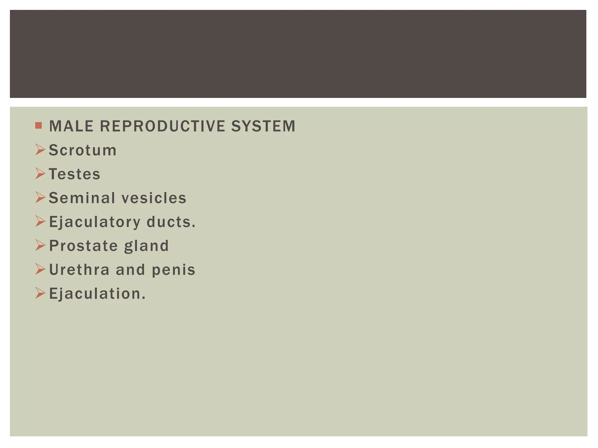 Reproductive system | PPTX