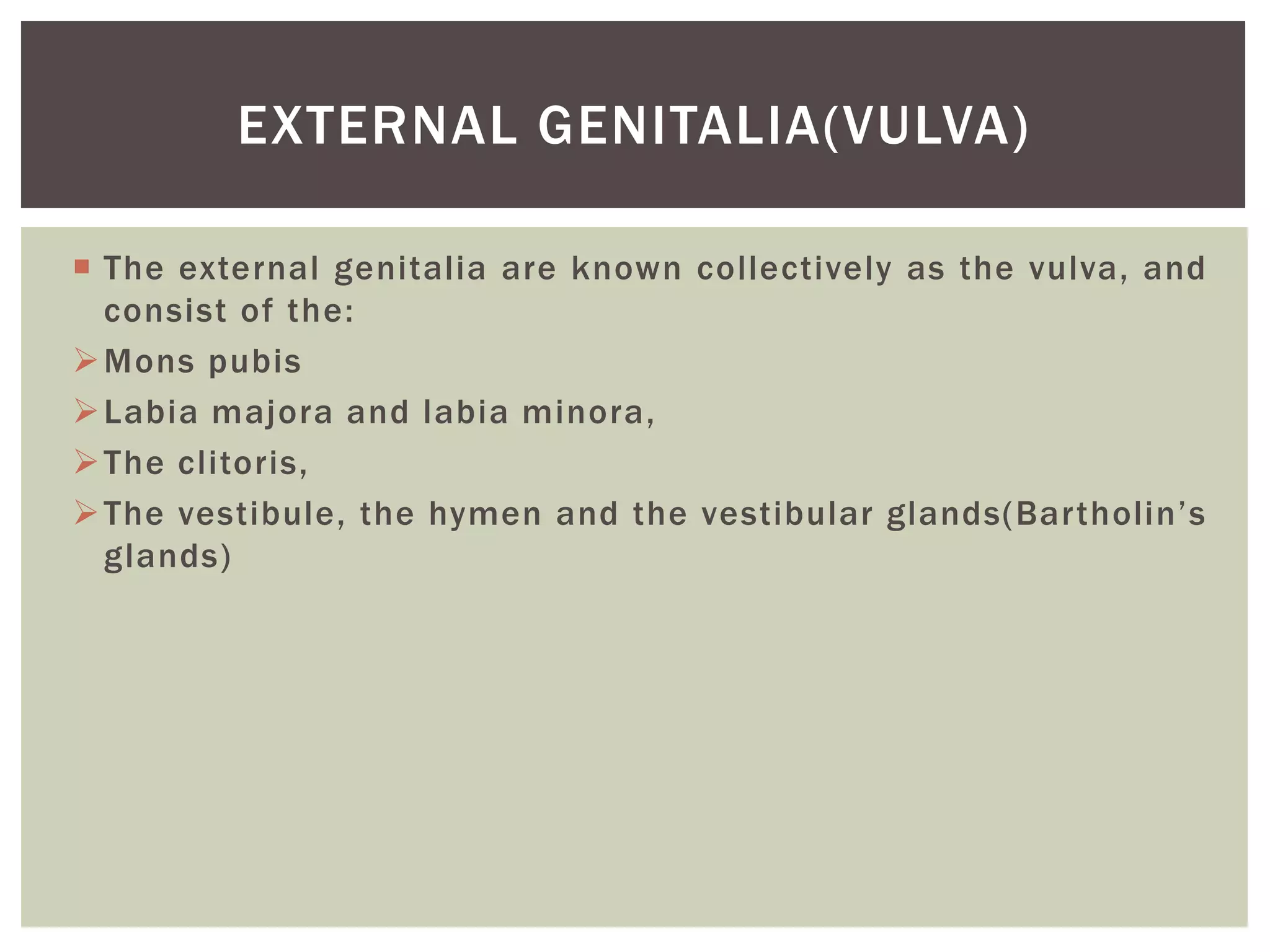 Reproductive System PPTX reproductive-system-pptx
