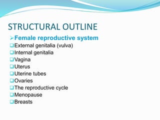 REPRODUCTIVE SYSTEM.pptx
