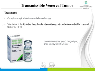 Transmissible Venereal Tumor
Treatment:
• Complete surgical excision and chemotherapy
• Vincristine is the first-line drug for the chemotherapy of canine transmissible venereal
tumor (CTVT).
Vincristine sulfate (0.5-0.7 mg/m2)-IV,
once weekly for 3-6 weeks
 