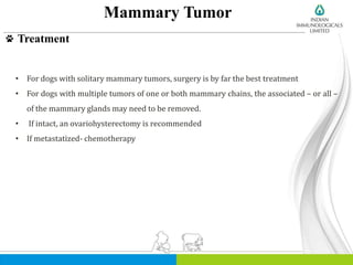 Mammary Tumor
Treatment
• For dogs with solitary mammary tumors, surgery is by far the best treatment
• For dogs with multiple tumors of one or both mammary chains, the associated – or all –
of the mammary glands may need to be removed.
• If intact, an ovariohysterectomy is recommended
• If metastatized- chemotherapy
 
