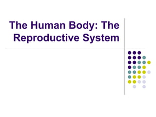 The Human Body: The
Reproductive System
 