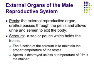 Reproductive System.ppt