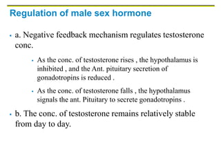 Regulation of male sex hormone
 a. Negative feedback mechanism regulates testosterone
conc.
 As the conc. of testosterone rises , the hypothalamus is
inhibited , and the Ant. pituitary secretion of
gonadotropins is reduced .
 As the conc. of testosterone falls , the hypothalamus
signals the ant. Pituitary to secrete gonadotropins .
 b. The conc. of testosterone remains relatively stable
from day to day.
 