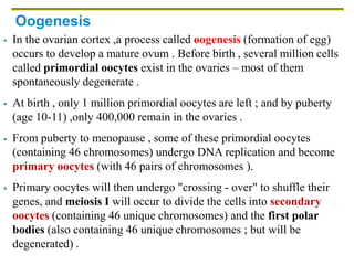 Oogenesis
 In the ovarian cortex ,a process called oogenesis (formation of egg)
occurs to develop a mature ovum . Before birth , several million cells
called primordial oocytes exist in the ovaries – most of them
spontaneously degenerate .
 At birth , only 1 million primordial oocytes are left ; and by puberty
(age 10-11) ,only 400,000 remain in the ovaries .
 From puberty to menopause , some of these primordial oocytes
(containing 46 chromosomes) undergo DNA replication and become
primary oocytes (with 46 pairs of chromosomes ).
 Primary oocytes will then undergo "crossing - over" to shuffle their
genes, and meiosis I will occur to divide the cells into secondary
oocytes (containing 46 unique chromosomes) and the first polar
bodies (also containing 46 unique chromosomes ; but will be
degenerated) .
 