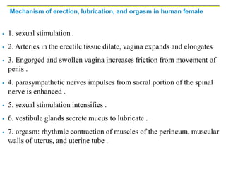 Mechanism of erection, lubrication, and orgasm in human female
 1. sexual stimulation .
 2. Arteries in the erectilc tissue dilate, vagina expands and elongates
 3. Engorged and swollen vagina increases friction from movement of
penis .
 4. parasympathetic nerves impulses from sacral portion of the spinal
nerve is enhanced .
 5. sexual stimulation intensifies .
 6. vestibule glands secrete mucus to lubricate .
 7. orgasm: rhythmic contraction of muscles of the perineum, muscular
walls of uterus, and uterine tube .
 